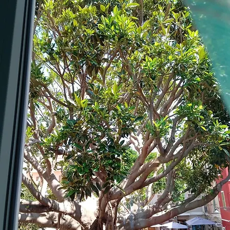 アパート La Perla *